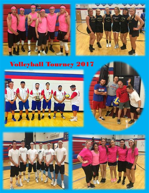 volleyball 